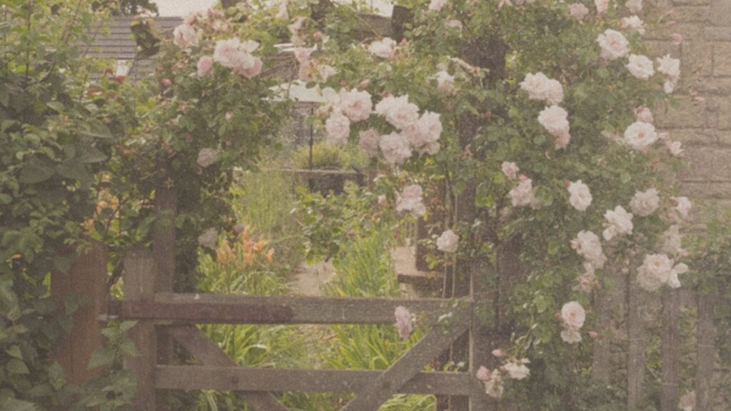 Cottage garden gate with roses