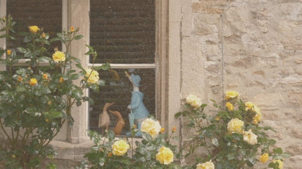 Cottage window with yellow roses